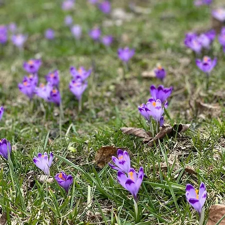Vakantiehuis Rancho Zalinski