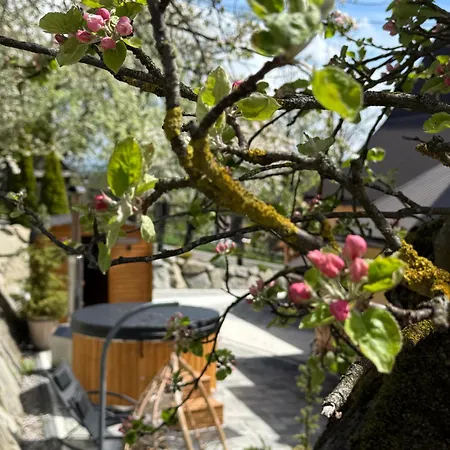 Rancho Zalinski Tatil Evi *