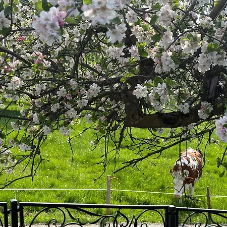 Tatil Evi Rancho Zalinski *