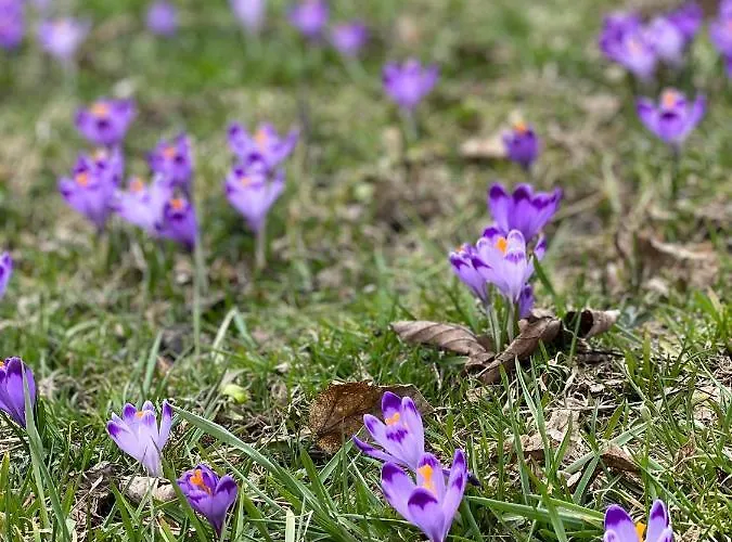 بيت للعطل Rancho Zalinski