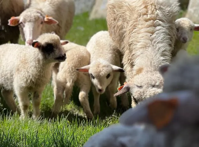 Rancho Zalinski بيت للعطل بوستريك